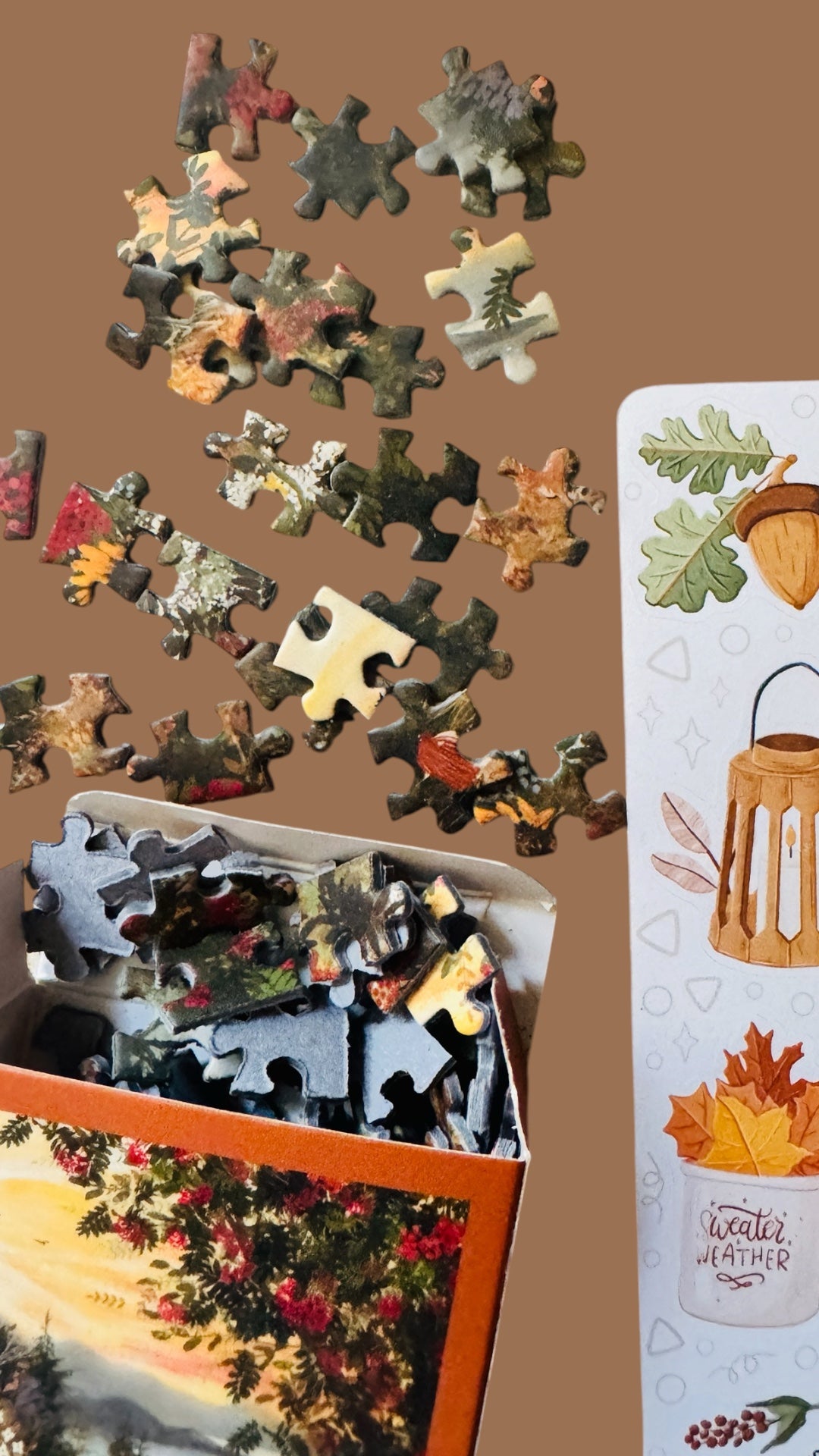 La box Automne 🍂🍁